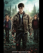 Harry Potter and the Deathly Hallows Part 2